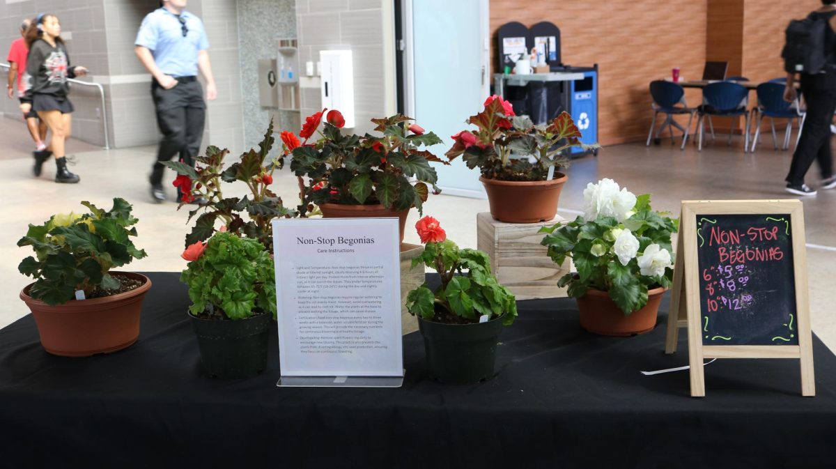 A beautiful and lively floral arrangement taken on October 10, 2024. (Photo by Khushi Salgia)